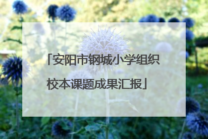 安阳市钢城小学组织校本课题成果汇报