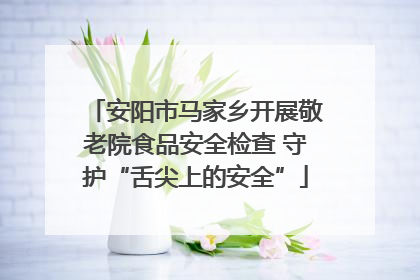 安阳市马家乡开展敬老院食品安全检查 守护“舌尖上的安全”