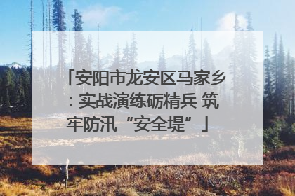 安阳市龙安区马家乡：实战演练砺精兵 筑牢防汛“安全堤”