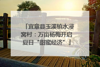 宜章县玉溪镇水浸窝村：万亩杨梅开启夏日“甜蜜经济”