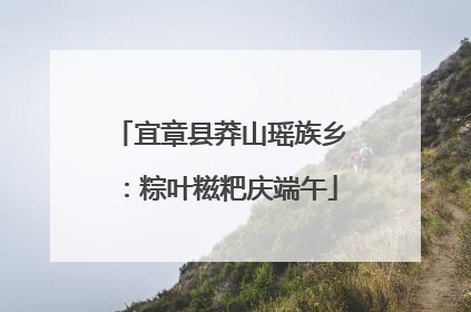 宜章县莽山瑶族乡：粽叶糍粑庆端午