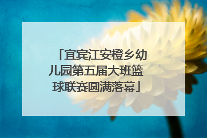 宜宾江安橙乡幼儿园第五届大班篮球联赛圆满落幕