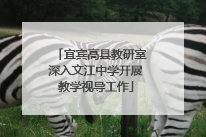 宜宾高县教研室深入文江中学开展教学视导工作
