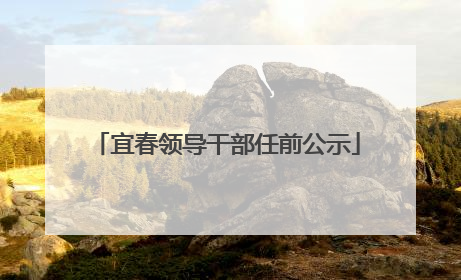 宜春领导干部任前公示