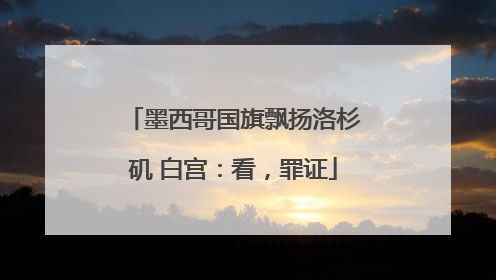 墨西哥国旗飘扬洛杉矶 白宫：看，罪证