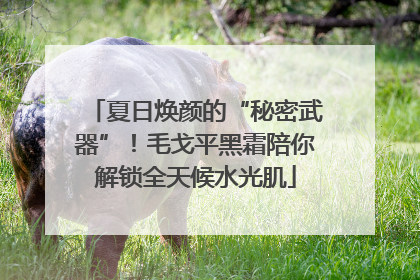 夏日焕颜的“秘密武器”！毛戈平黑霜陪你解锁全天候水光肌