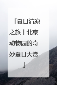 夏日清凉之旅丨北京动物园的奇妙夏日大赏