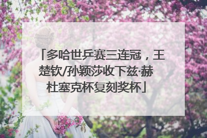 多哈世乒赛三连冠，王楚钦/孙颖莎收下兹·赫杜塞克杯复刻奖杯