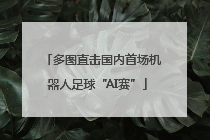 多图直击国内首场机器人足球“AI赛”
