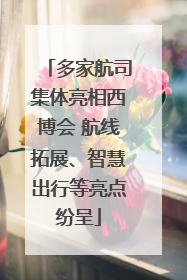 多家航司集体亮相西博会 航线拓展、智慧出行等亮点纷呈