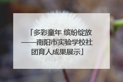 多彩童年 缤纷绽放——南阳市实验学校社团育人成果展示
