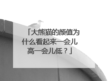 大熊猫的颜值为什么看起来一会儿高一会儿低？