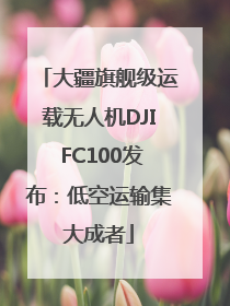 大疆旗舰级运载无人机DJI FC100发布：低空运输集大成者