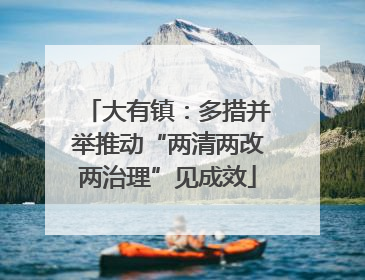 大有镇：多措并举推动“两清两改两治理”见成效