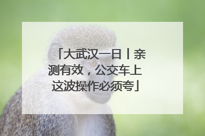 大武汉一日丨亲测有效，公交车上这波操作必须夸