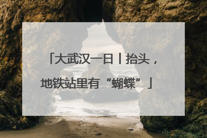 大武汉一日丨抬头，地铁站里有“蝴蝶”