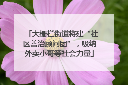 大栅栏街道将建“社区善治顾问团”，吸纳外卖小哥等社会力量