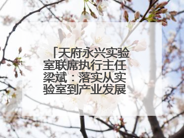 天府永兴实验室联席执行主任梁斌：落实从实验室到产业发展的最后一公里