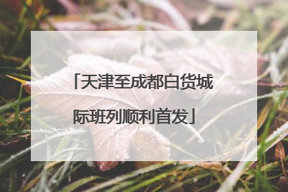 天津至成都白货城际班列顺利首发