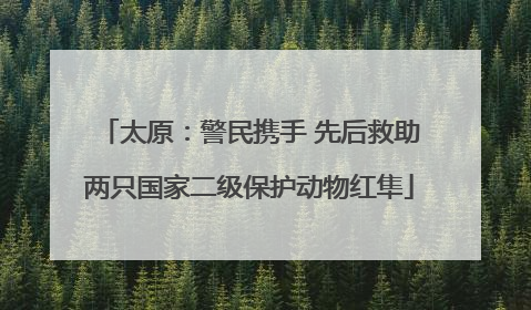 太原：警民携手 先后救助两只国家二级保护动物红隼