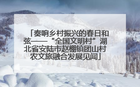 奏响乡村振兴的春日和弦——“全国文明村”湖北省安陆市赵棚镇团山村农文旅融合发展见闻