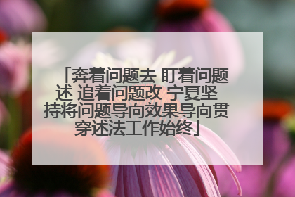 奔着问题去 盯着问题述 追着问题改 宁夏坚持将问题导向效果导向贯穿述法工作始终
