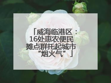 威海临港区：16处惠农便民摊点群托起城市“烟火气”