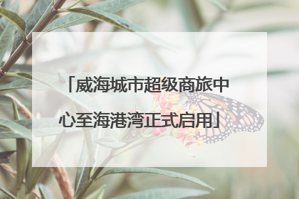 威海城市超级商旅中心至海港湾正式启用