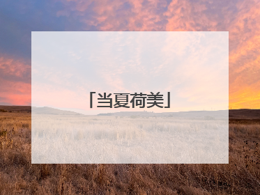 当夏荷美
