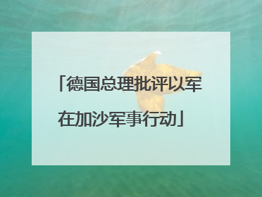 德国总理批评以军在加沙军事行动