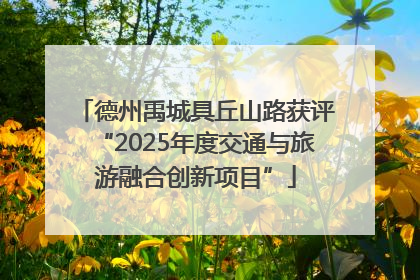 德州禹城具丘山路获评“2025年度交通与旅游融合创新项目”