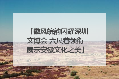 徽风皖韵闪耀深圳文博会 六尺巷领衔展示安徽文化之美
