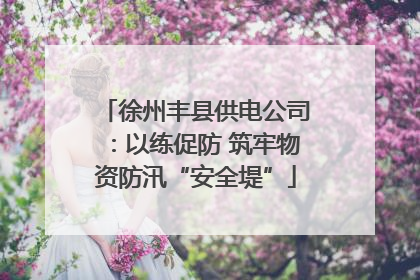 徐州丰县供电公司：以练促防 筑牢物资防汛“安全堤”