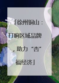 徐州铜山：打响区域品牌，助力“杏”福经济