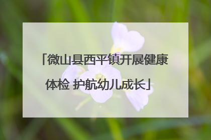 微山县西平镇开展健康体检 护航幼儿成长