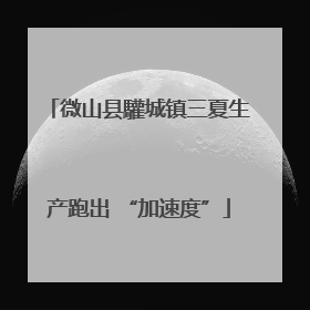 微山县驩城镇三夏生产跑出 “加速度”