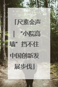 尺素金声｜“小院高墙”挡不住中国创新发展步伐