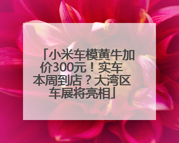 小米车模黄牛加价300元！实车本周到店？大湾区车展将亮相