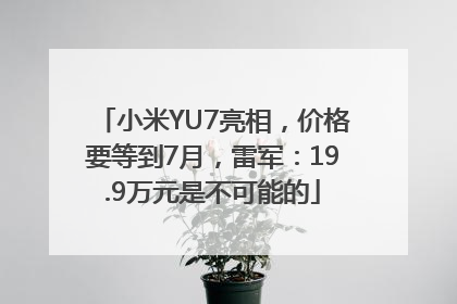 小米YU7亮相，价格要等到7月，雷军：19.9万元是不可能的