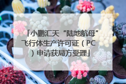 小鹏汇天“陆地航母”飞行体生产许可证（PC）申请获局方受理