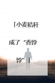 小麦秸秆成了“香饽饽”