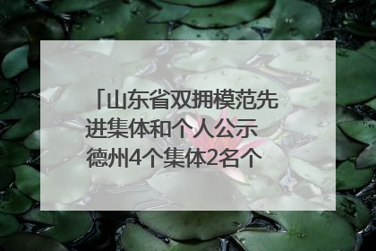山东省双拥模范先进集体和个人公示 德州4个集体2名个人拟受表彰