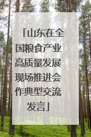 山东在全国粮食产业高质量发展现场推进会作典型交流发言