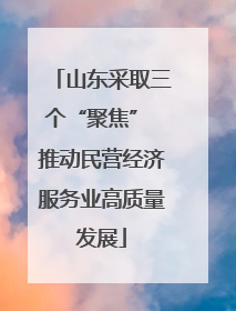 山东采取三个“聚焦” 推动民营经济服务业高质量发展