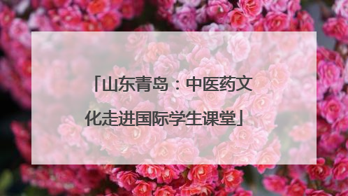 山东青岛：中医药文化走进国际学生课堂