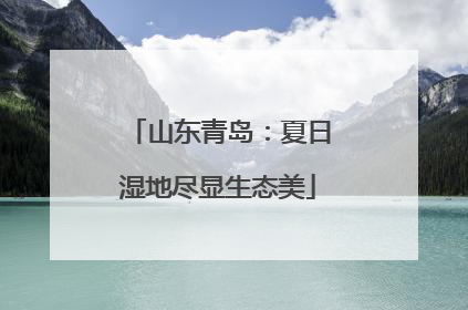 山东青岛：夏日湿地尽显生态美