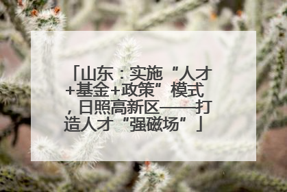 山东：实施“人才+基金+政策”模式，日照高新区——打造人才“强磁场”