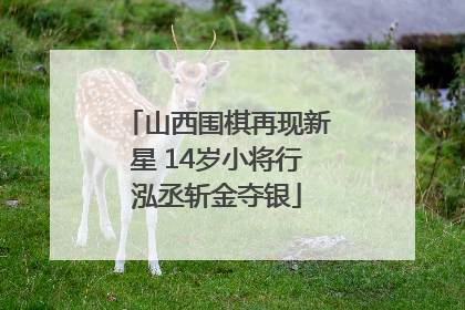 山西围棋再现新星 14岁小将行泓丞斩金夺银