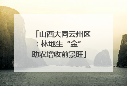 山西大同云州区：林地生“金” 助农增收前景旺