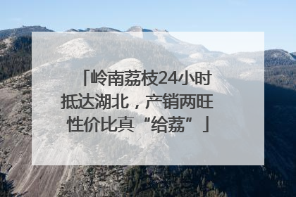 岭南荔枝24小时抵达湖北，产销两旺性价比真“给荔”